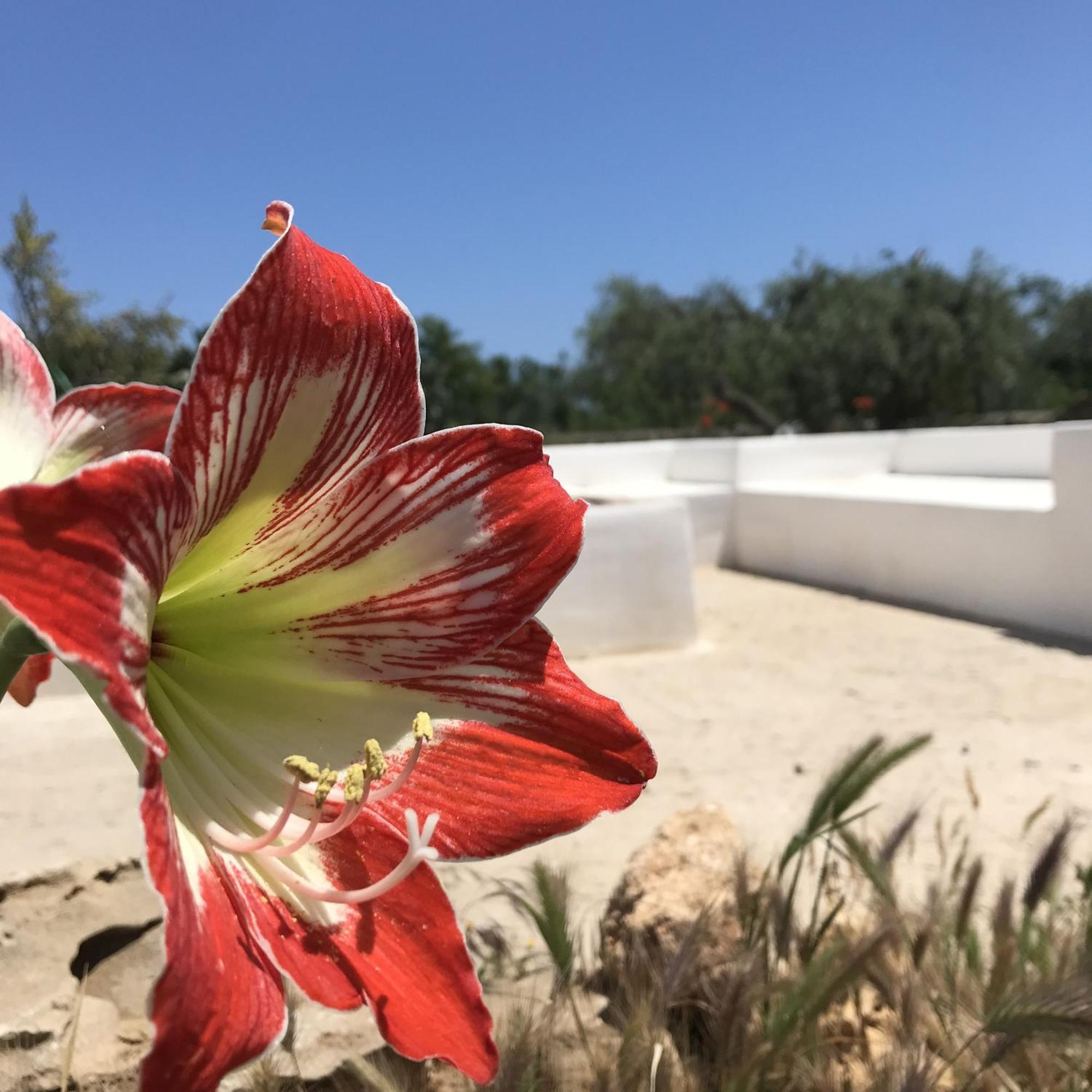 Casapiuholidaysicilia-Adults Only Ното Экстерьер фото