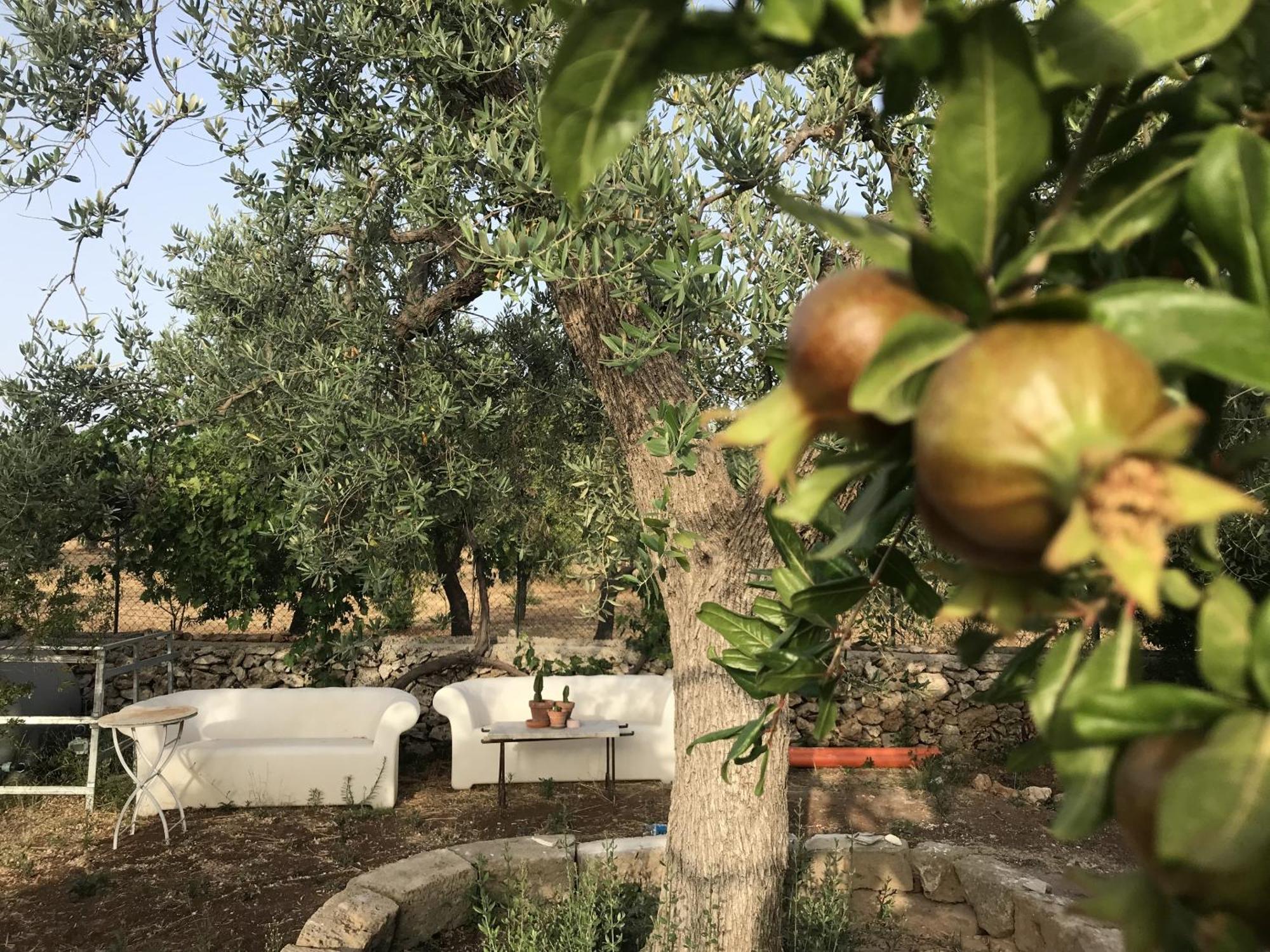 Casapiuholidaysicilia-Adults Only Ното Экстерьер фото