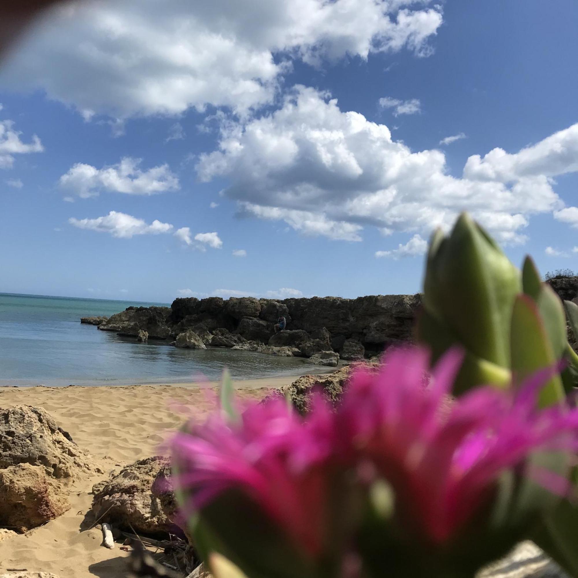 Casapiuholidaysicilia-Adults Only Ното Экстерьер фото